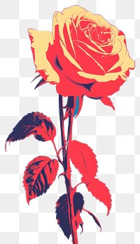 PNG Minimal of a rose flower plant art. AI generated Image by rawpixel.