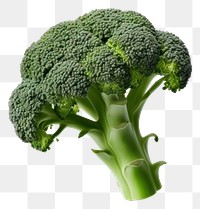 PNG  Broccoli vegetable plant food. AI generated Image by rawpixel.