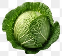 PNG  Cabbage vegetable plant food. AI generated Image by rawpixel.