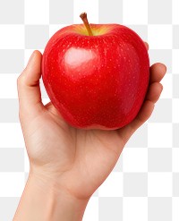 PNG  Hand holding red apple fruit plant food. AI generated Image by rawpixel.