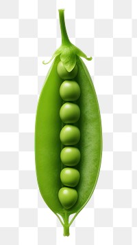 PNG  Pea vegetable plant food. AI generated Image by rawpixel.