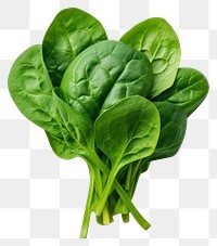 PNG  Spinach vegetable plant food. AI generated Image by rawpixel.