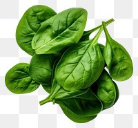 PNG  Spinach vegetable plant food. AI generated Image by rawpixel.