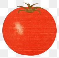 PNG Tomato plant food creativity. AI generated Image by rawpixel.
