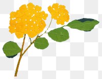 PNG A piece of lantana sunflower painting plant. AI generated Image by rawpixel.