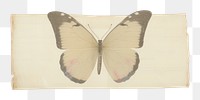 PNG Butterfly animal art  