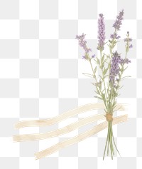 PNG Lavender bouque flower plant herbs. AI generated Image by rawpixel.