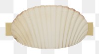 PNG Shell with tape clam white background invertebrate. AI generated Image by rawpixel.