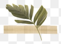 PNG Tropical leaves with tape plant leaf blossom. AI generated Image by rawpixel.