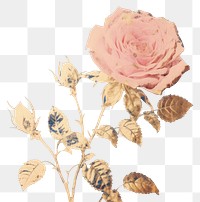 PNG Rose art pattern flower. AI generated Image by rawpixel.