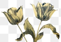 PNG Tulip painting flower petal. AI generated Image by rawpixel.
