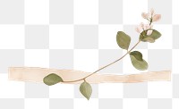 PNG Leaf bougainvillea plant with tape flower petal white background. AI generated Image by rawpixel.