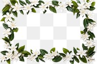 PNG Leaves an flowers backgrounds plant white. AI generated Image by rawpixel.