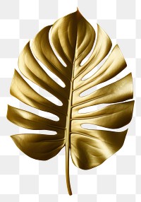 PNG Monstera yellow gold pattern. 