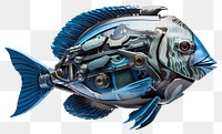 PNG Cyborg surgeonfish animal white background transportation. AI generated Image by rawpixel.