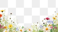 PNG Summer border backgrounds outdoors flower. 