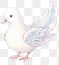 PNG Dove drawing animal white. AI generated Image by rawpixel.