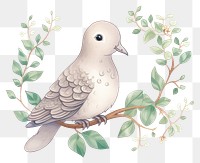PNG Dove drawing animal plant. AI generated Image by rawpixel.