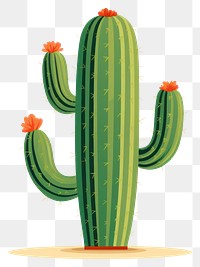 PNG  Cactus plant white background semi-arid. AI generated Image by rawpixel.