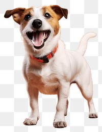 PNG  Jack Russell Terrier dog terrier mammal. AI generated Image by rawpixel.