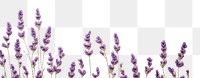 PNG Little cute Lavender lavender backgrounds pattern. AI generated Image by rawpixel.