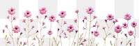 PNG Little flowers pattern backgrounds blossom. 