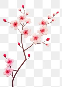 PNG Little sakura flower backgrounds blossom plant. 