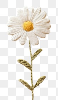 PNG Little white Daisy pattern daisy backgrounds. 