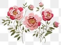 PNG  Little Peony circle border embroidery pattern inflorescence