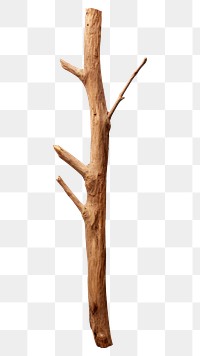 PNG  Diftwood stick white background simplicity driftwood