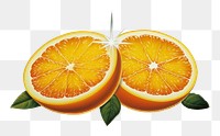 PNG Orange grapefruit plant food. AI generated Image by rawpixel.