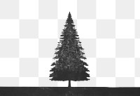 PNG Christmas tree plant fir red. AI generated Image by rawpixel.