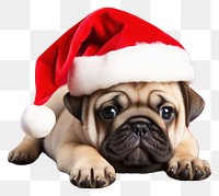 PNG  Dog christmas mammal animal. AI generated Image by rawpixel.