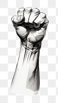 PNG Fist action drawing hand sketch. AI generated Image by rawpixel.