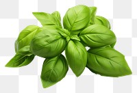 PNG Basil vegetable plant herbs. AI generated Image by rawpixel.