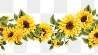PNG  Sunflower plant white background inflorescence. AI generated Image by rawpixel.