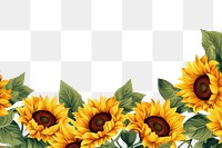 PNG  Sunflower backgrounds plant inflorescence. AI generated Image by rawpixel.