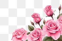 PNG  Pink rose flower plant white background inflorescence. AI generated Image by rawpixel.