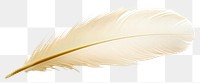 PNG  Feather white white background lightweight. AI generated Image by rawpixel.