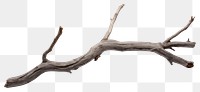 PNG  Grey dry branch driftwood white background tranquility