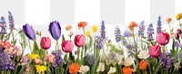 PNG Spring floral outdoors blossom flower