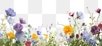 PNG Spring floral backgrounds outdoors blossom