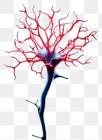 PNG  A brain cell red black background illuminated. AI generated Image by rawpixel.