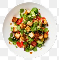 PNG  Crispy tofu salad vegetable plate plant. AI generated Image by rawpixel.