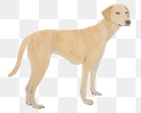 PNG  Dog painting animal mammal. AI generated Image by rawpixel.