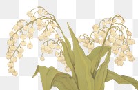 PNG  Lily of the valleys painting flower plant. AI generated Image by rawpixel.