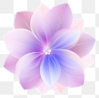 PNG Cute abstract flower petal plant white background. AI generated Image by rawpixel.