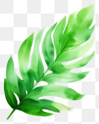 PNG Green leaf plant white background freshness. AI generated Image by rawpixel.