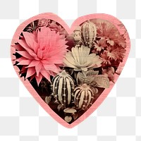 PNG Heart with cactus paper backgrounds creativity. AI generated Image by rawpixel.