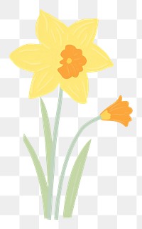 PNG Daffodil outdoors flower nature. AI generated Image by rawpixel.